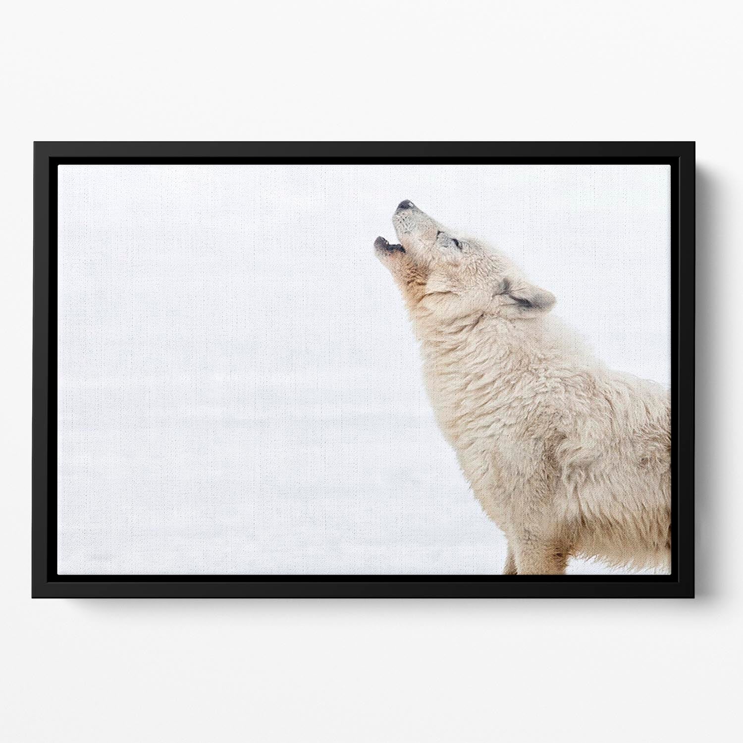 Profile of an arctic wolf howling Floating Framed Canvas - Canvas Art Rocks - 2