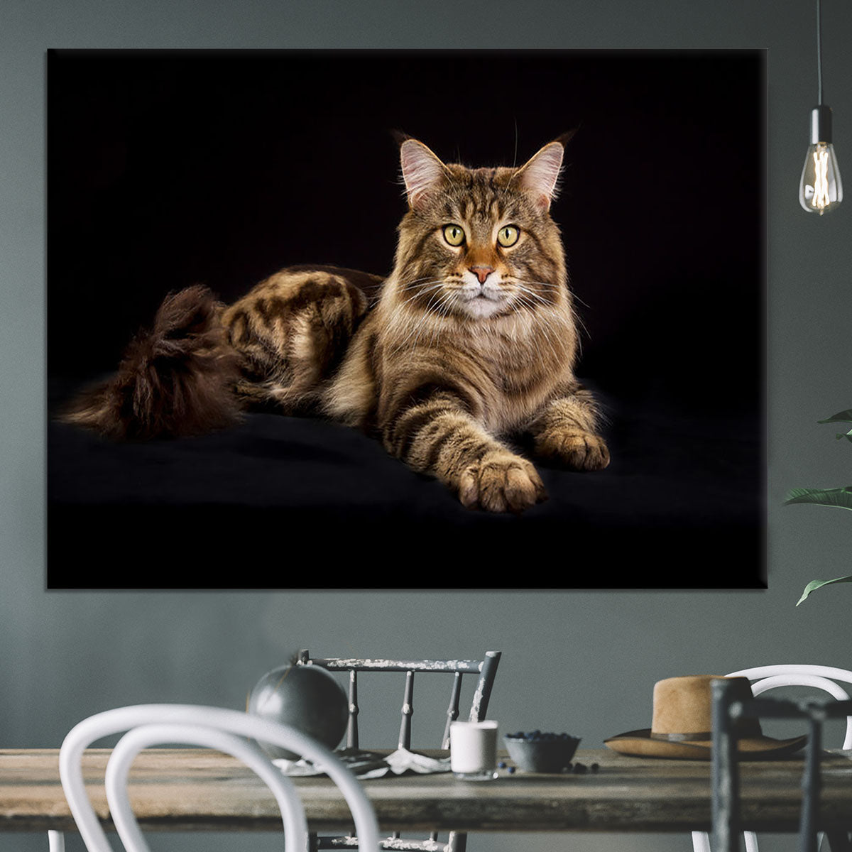 Purebred Maine Coon cat Canvas Print or Poster - Canvas Art Rocks - 3