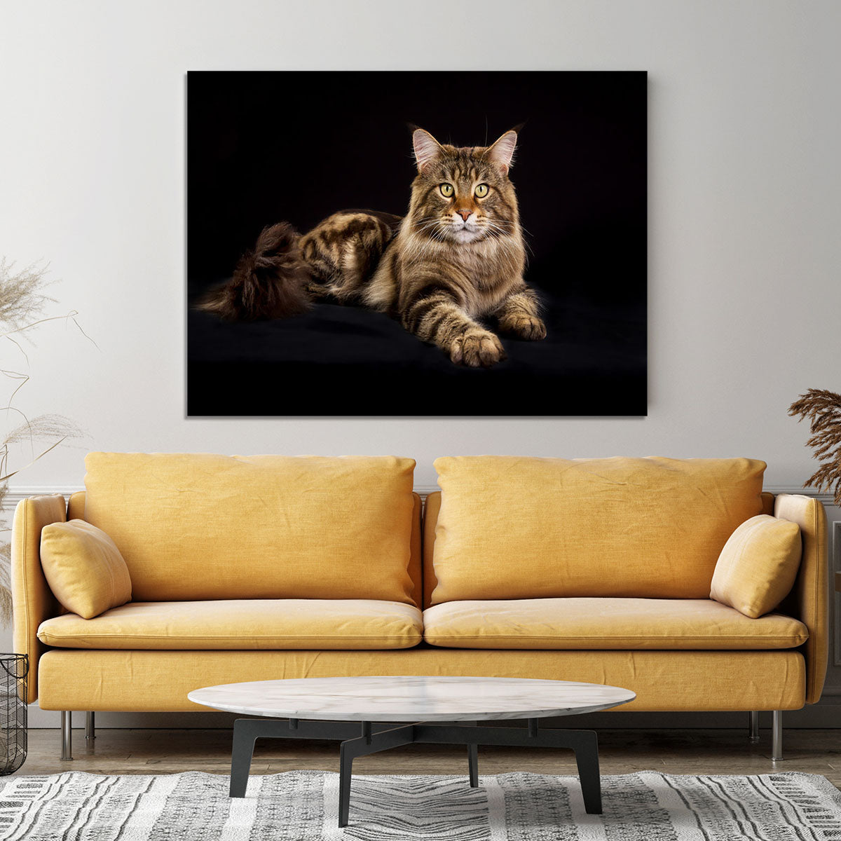 Purebred Maine Coon cat Canvas Print or Poster - Canvas Art Rocks - 4