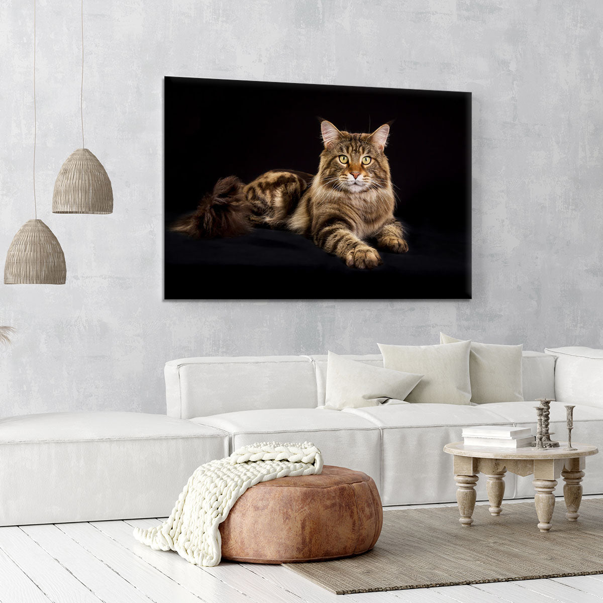 Purebred Maine Coon cat Canvas Print or Poster - Canvas Art Rocks - 6