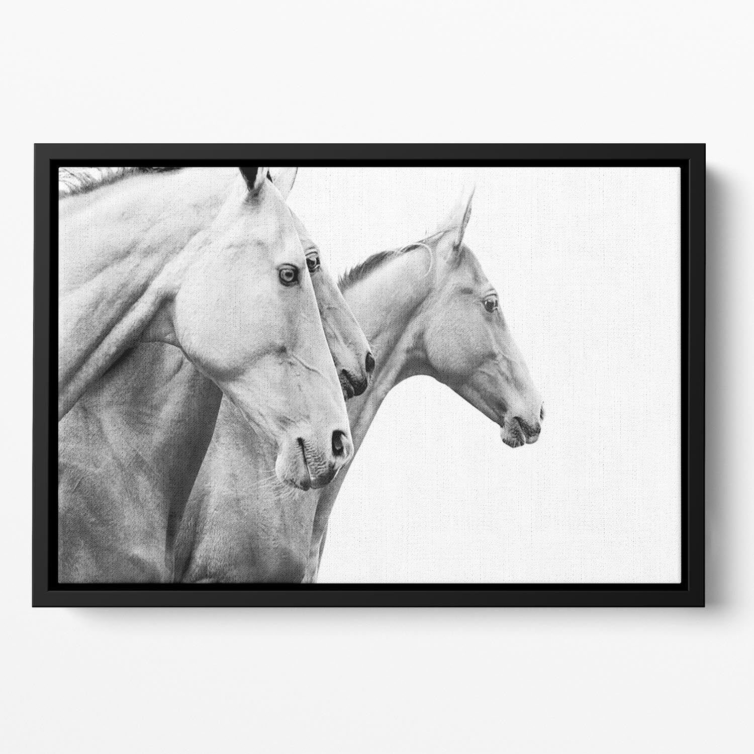 Purebred horses Floating Framed Canvas - Canvas Art Rocks - 2