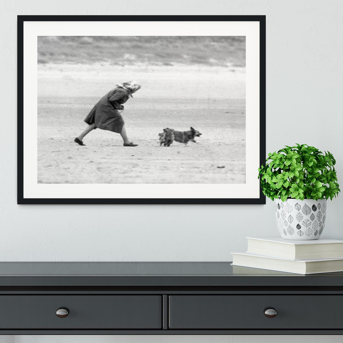 Queen Elizabeth II walking her pet corgis on a Norfolk beach Framed Print - Canvas Art Rocks - 1