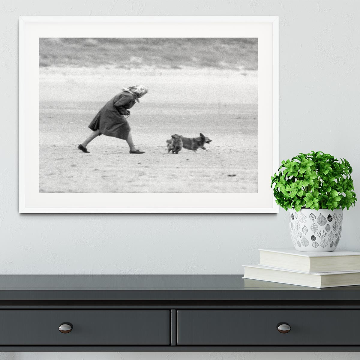 Queen Elizabeth II walking her pet corgis on a Norfolk beach Framed Print - Canvas Art Rocks - 5