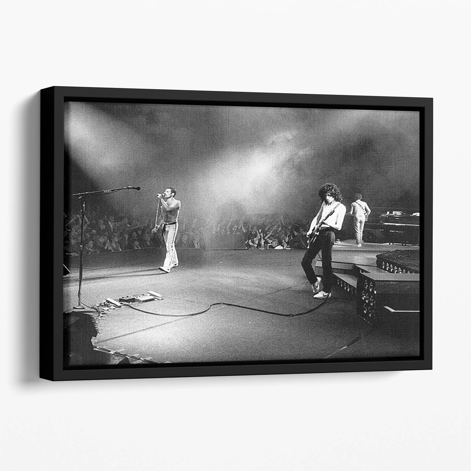 Queen Live Floating Framed Canvas