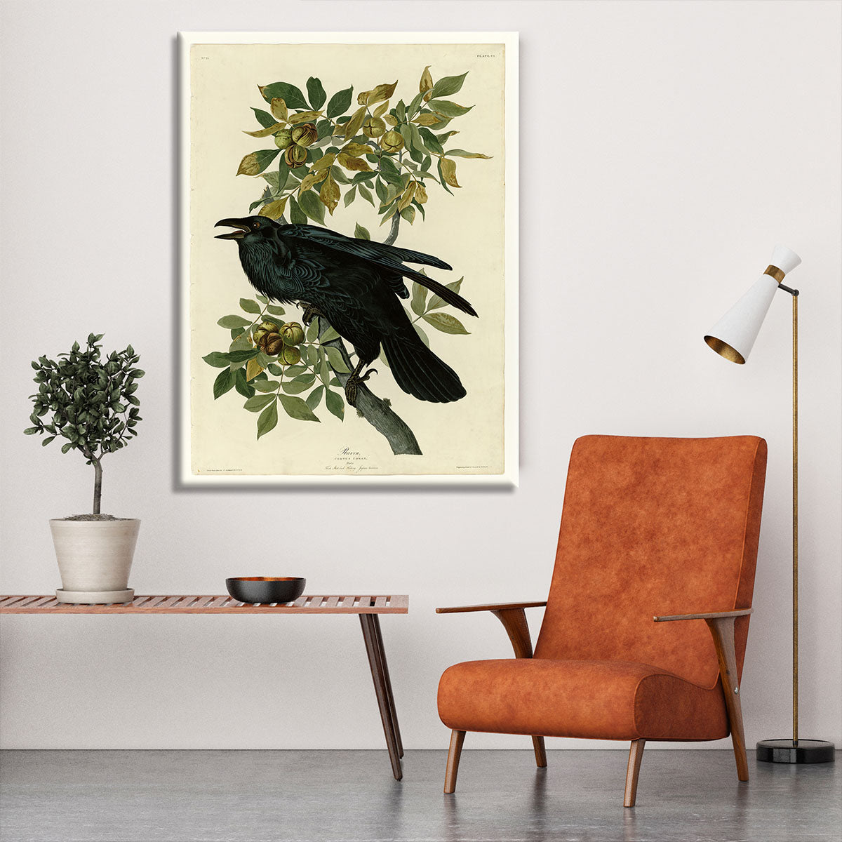 Raven by Audubon Canvas Print or Poster - Canvas Art Rocks - 6