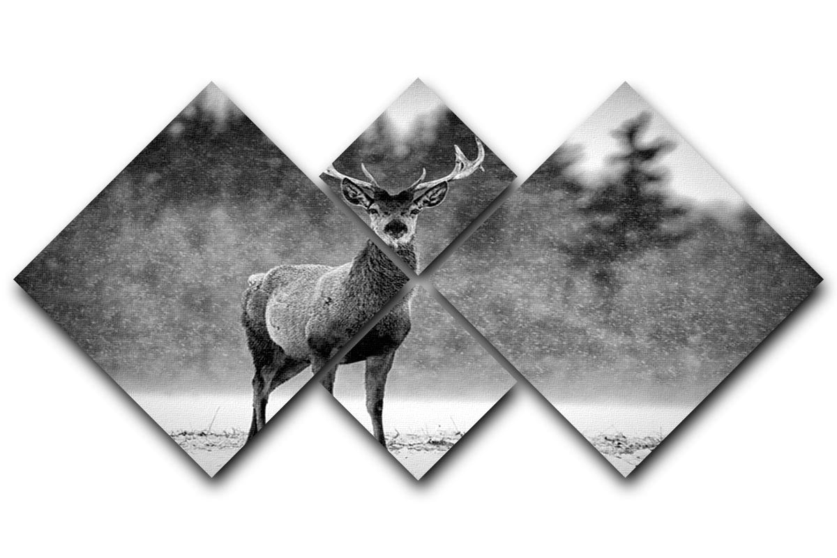 Red Deer Stag 4 Square Multi Panel Canvas - Canvas Art Rocks - 1