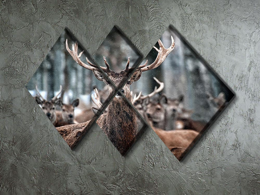 Red Deer Stag and Herd 4 Square Multi Panel Canvas - Canvas Art Rocks - 2