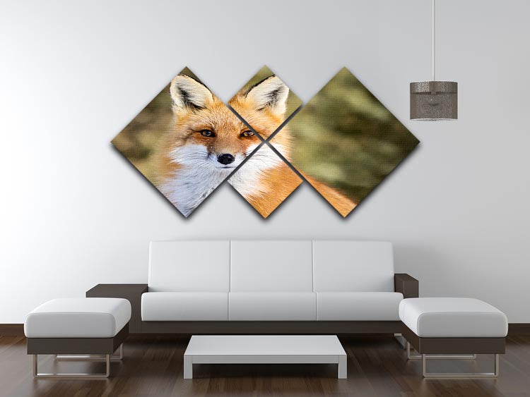 Red Fox - Vulpes vulpes sitting up at attention 4 Square Multi Panel Canvas - Canvas Art Rocks - 3