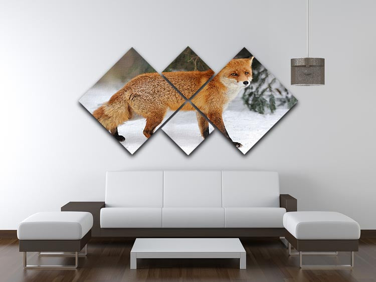 Red Fox Vulpes vulpes in winter time 4 Square Multi Panel Canvas - Canvas Art Rocks - 3