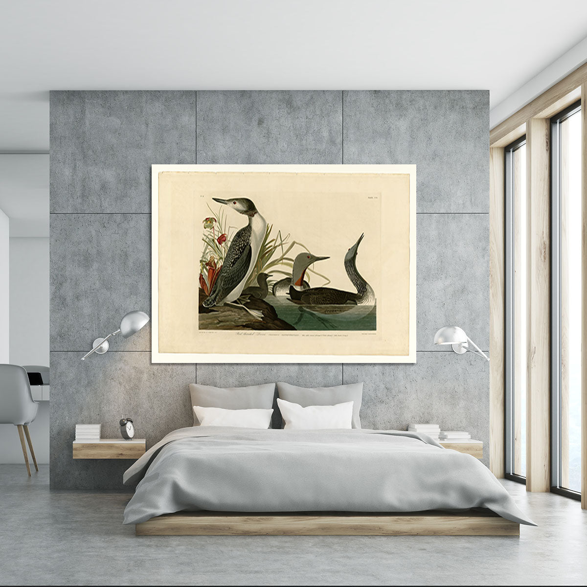 Red Throated Diver by Audubon Canvas Print or Poster - Canvas Art Rocks - 5