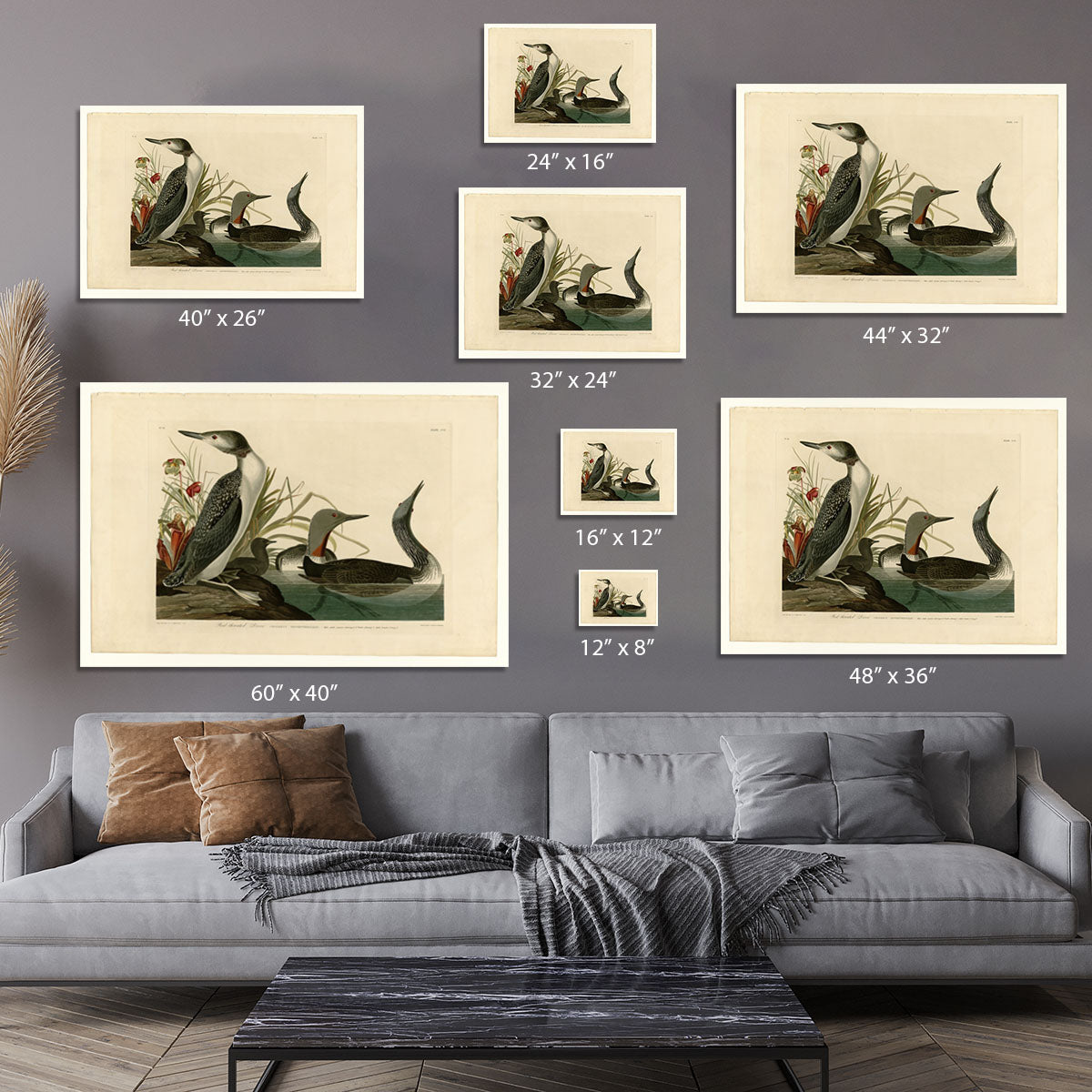 Red Throated Diver by Audubon Canvas Print or Poster - Canvas Art Rocks - 7