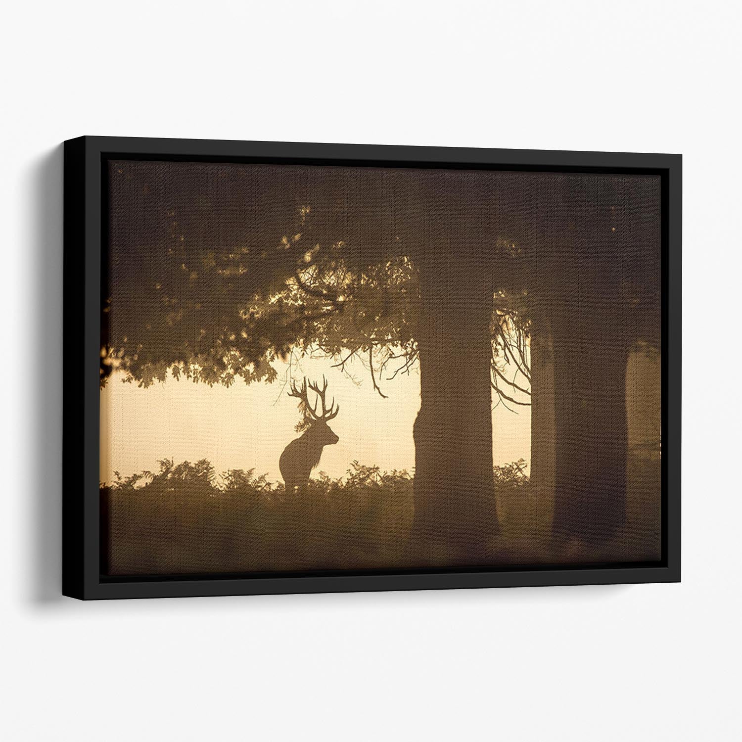 Red deer stag silhouette in forest Floating Framed Canvas - Canvas Art Rocks - 1