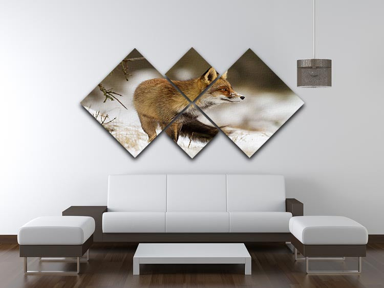 Red fox in wintertime 4 Square Multi Panel Canvas - Canvas Art Rocks - 3