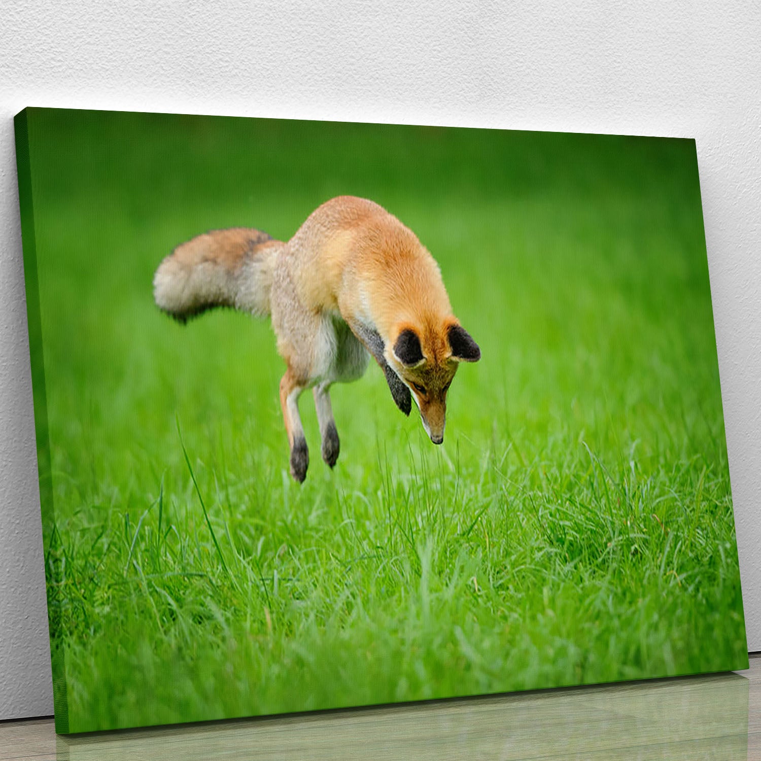 Red fox on hunt Canvas Print or Poster - Canvas Art Rocks - 1