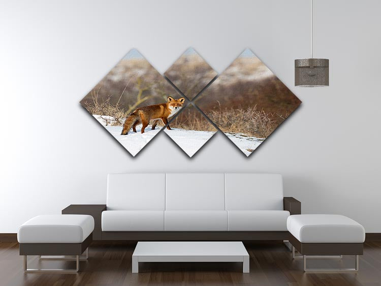 Red fox standing in a winter landscape 4 Square Multi Panel Canvas - Canvas Art Rocks - 3