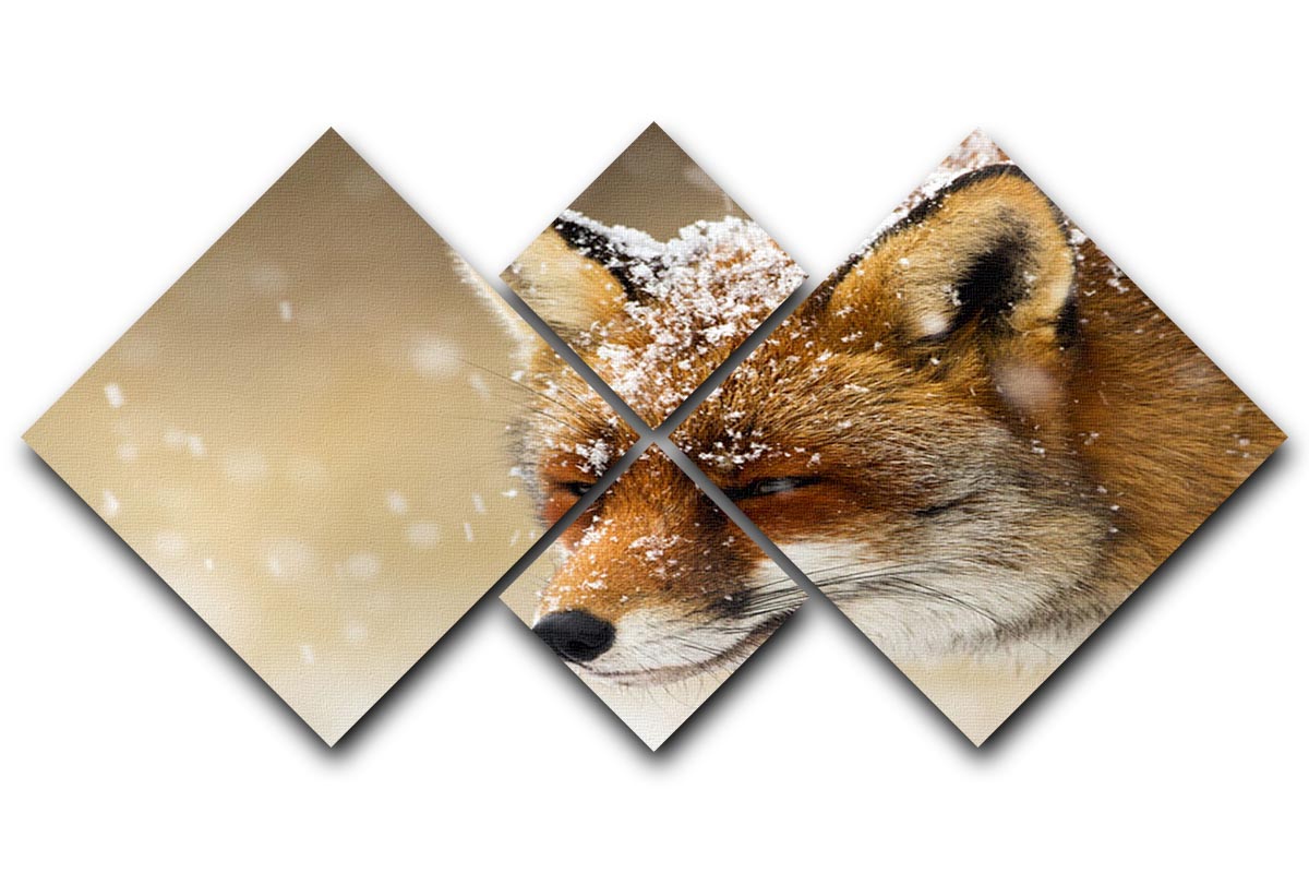 Red fox winter portrait 4 Square Multi Panel Canvas - Canvas Art Rocks - 1