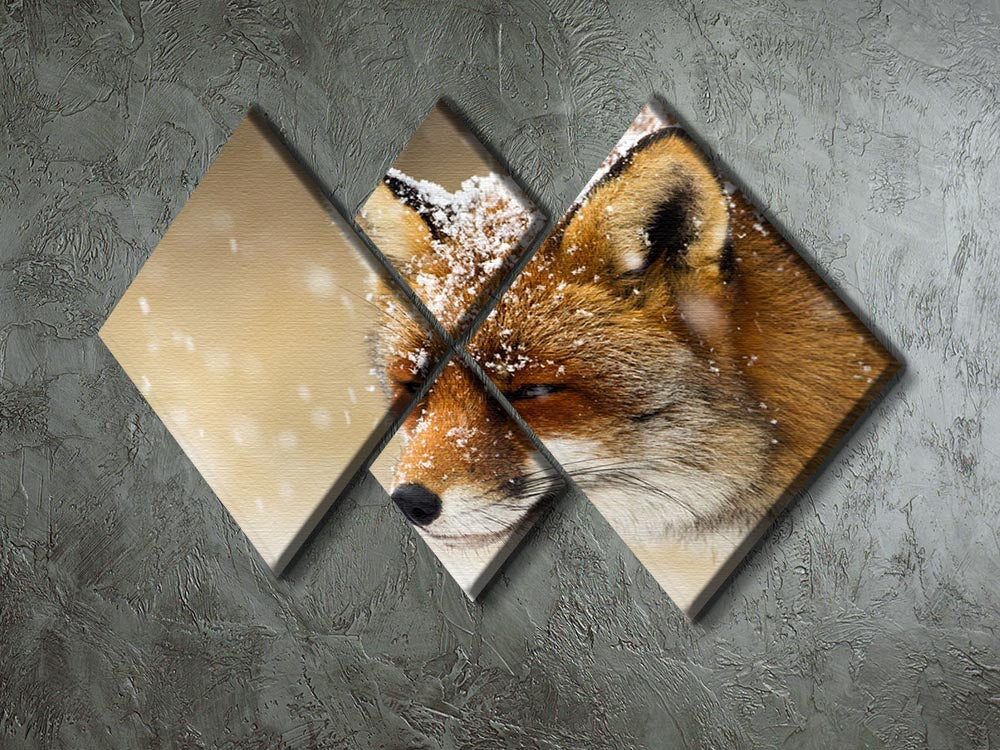 Red fox winter portrait 4 Square Multi Panel Canvas - Canvas Art Rocks - 2