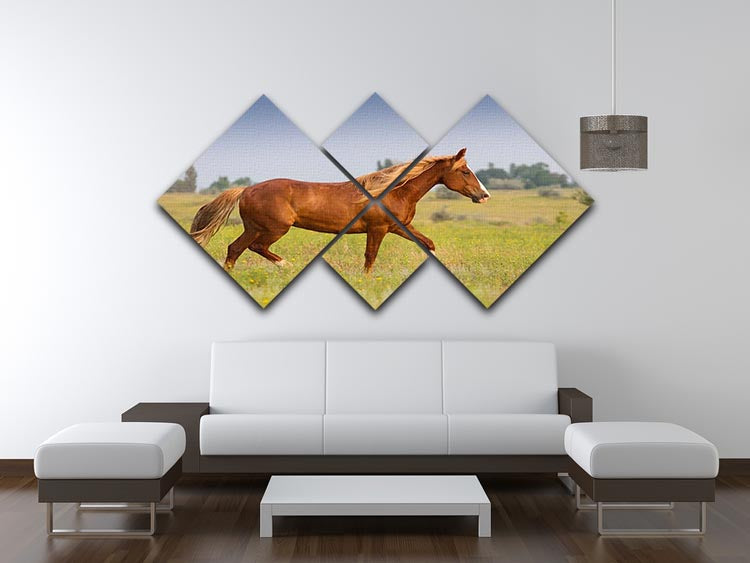 Red horse with long mane 4 Square Multi Panel Canvas - Canvas Art Rocks - 3