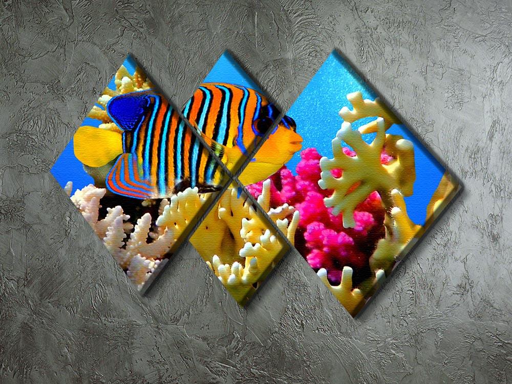 Regal angelfish 4 Square Multi Panel Canvas  - Canvas Art Rocks - 2