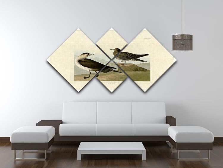 Richardsons Jager by Audubon 4 Square Multi Panel Canvas - Canvas Art Rocks - 3