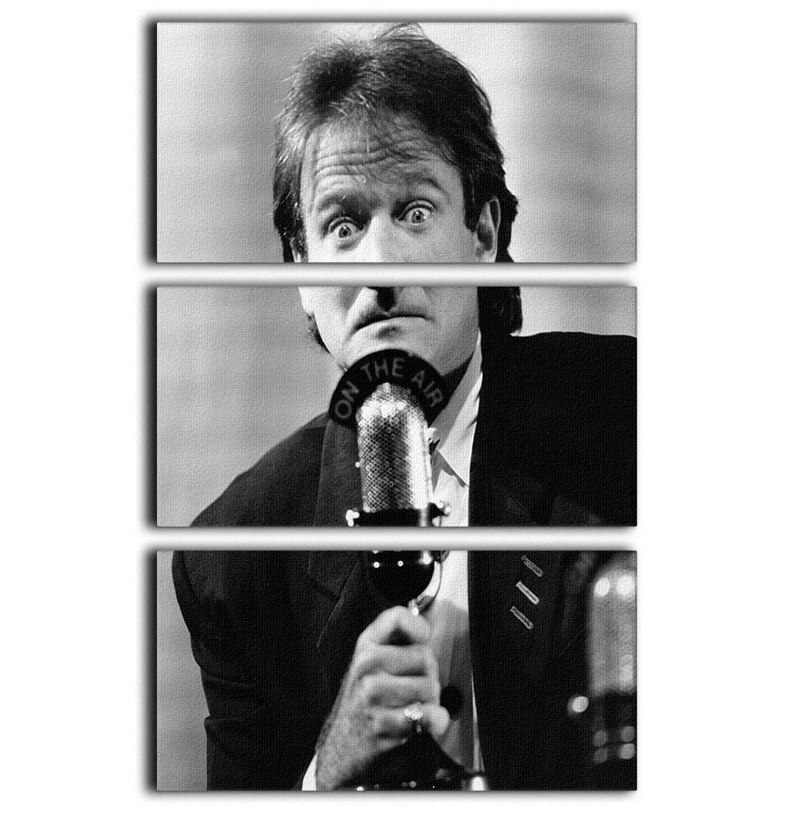 Robin Williams at the microphone 3 Split Panel Canvas Print - Canvas Art Rocks - 1