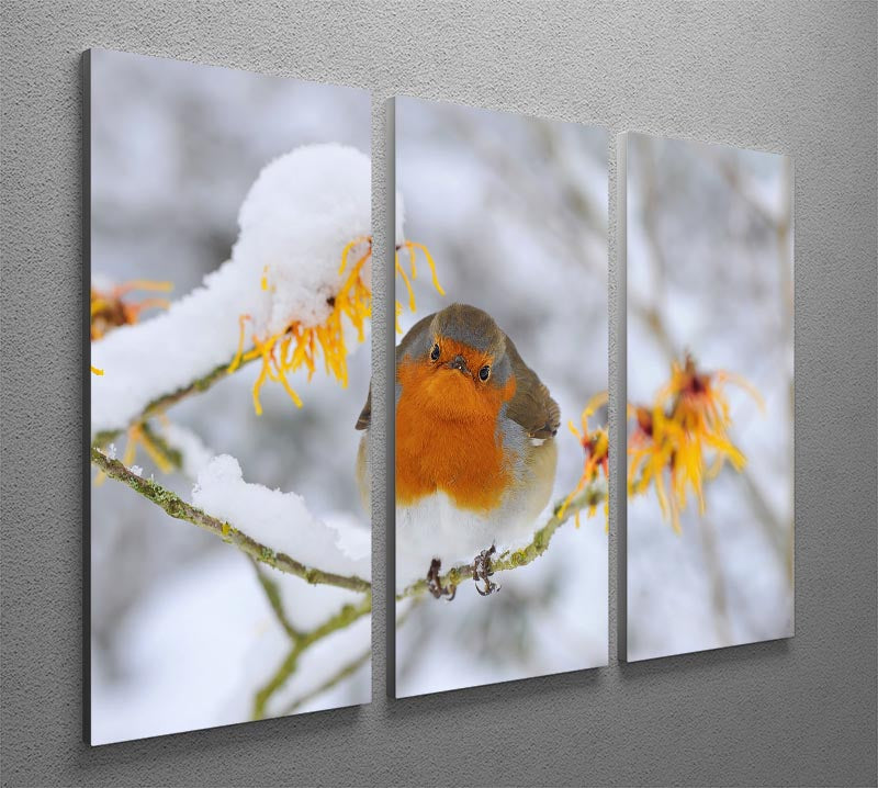 Robin in the Snow 3 Split Panel Canvas Print - Canvas Art Rocks - 2