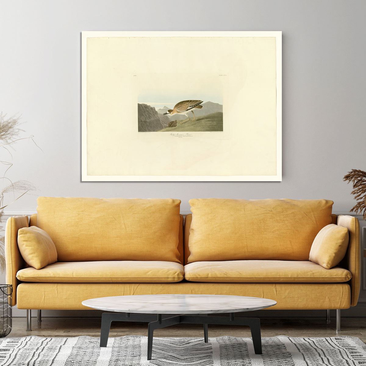 Rocky Mountain Plover by Audubon Canvas Print or Poster - Canvas Art Rocks - 4