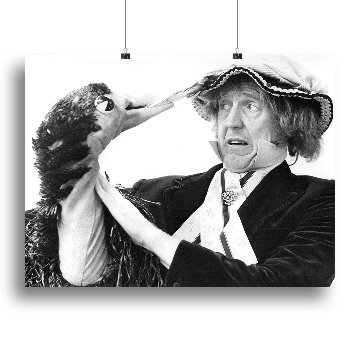 Rod Hull and Emu Canvas Print or Poster - Canvas Art Rocks - 2