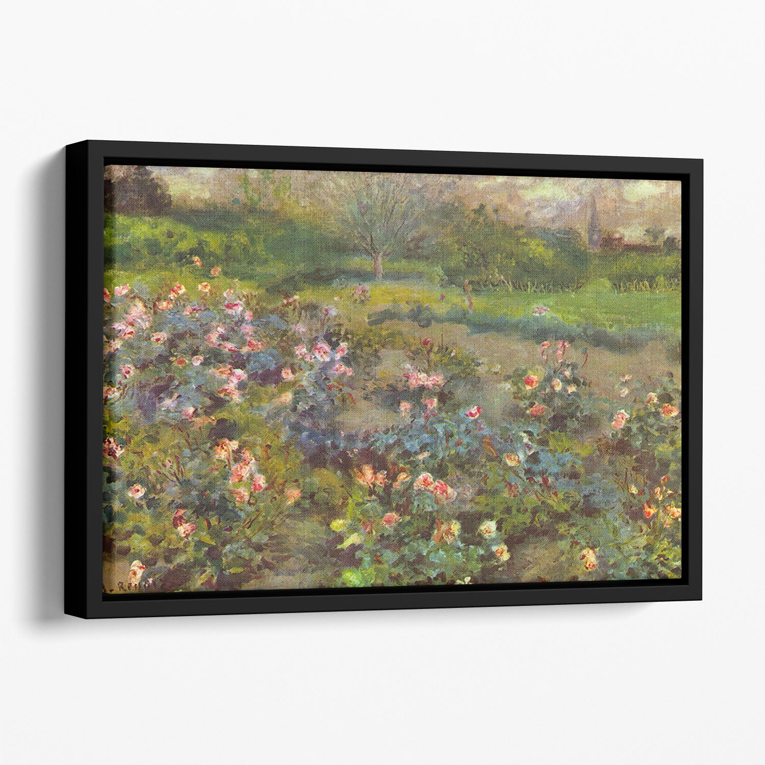 Rose Garden by Renoir Floating Framed Canvas
