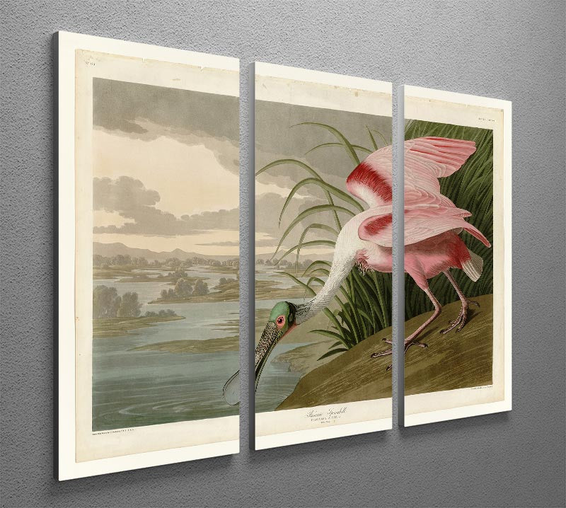 Roseate Spoonbill by Audubon 3 Split Panel Canvas Print - Canvas Art Rocks - 2