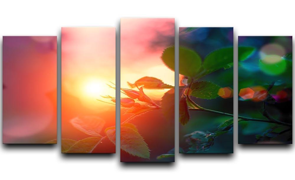 Rosebuds at sunset 5 Split Panel Canvas  - Canvas Art Rocks - 1