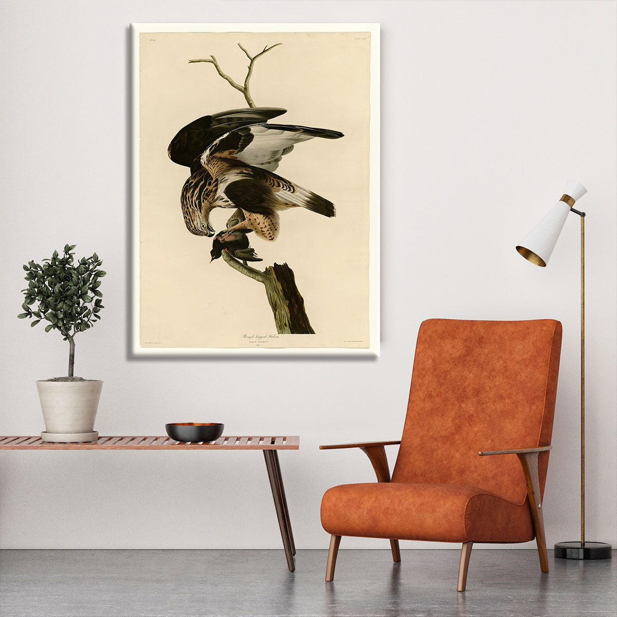 Rough legged Falcon by Audubon Canvas Print or Poster - Canvas Art Rocks - 6