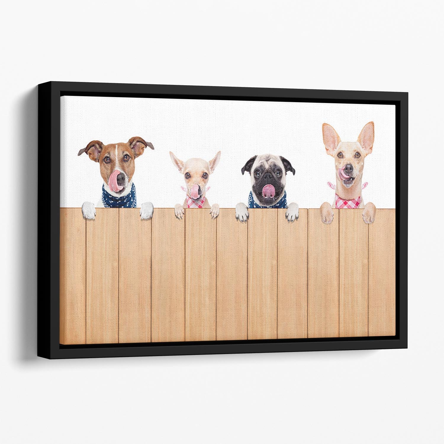 Row of dogs as a group or team Floating Framed Canvas - Canvas Art Rocks - 1