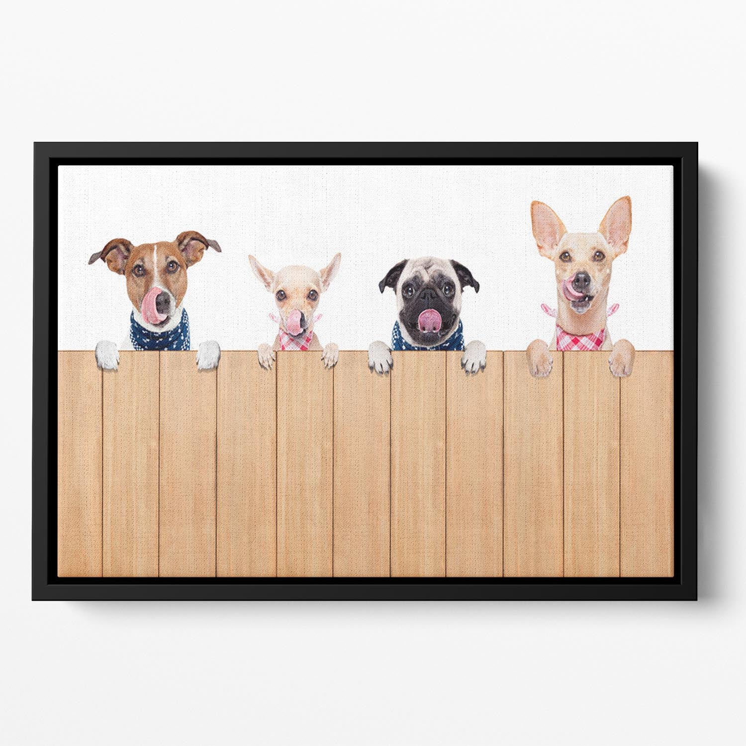 Row of dogs as a group or team Floating Framed Canvas - Canvas Art Rocks - 2