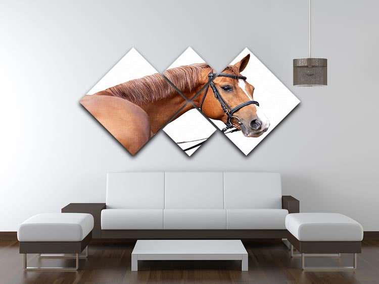 Russian Don horse 4 Square Multi Panel Canvas - Canvas Art Rocks - 3