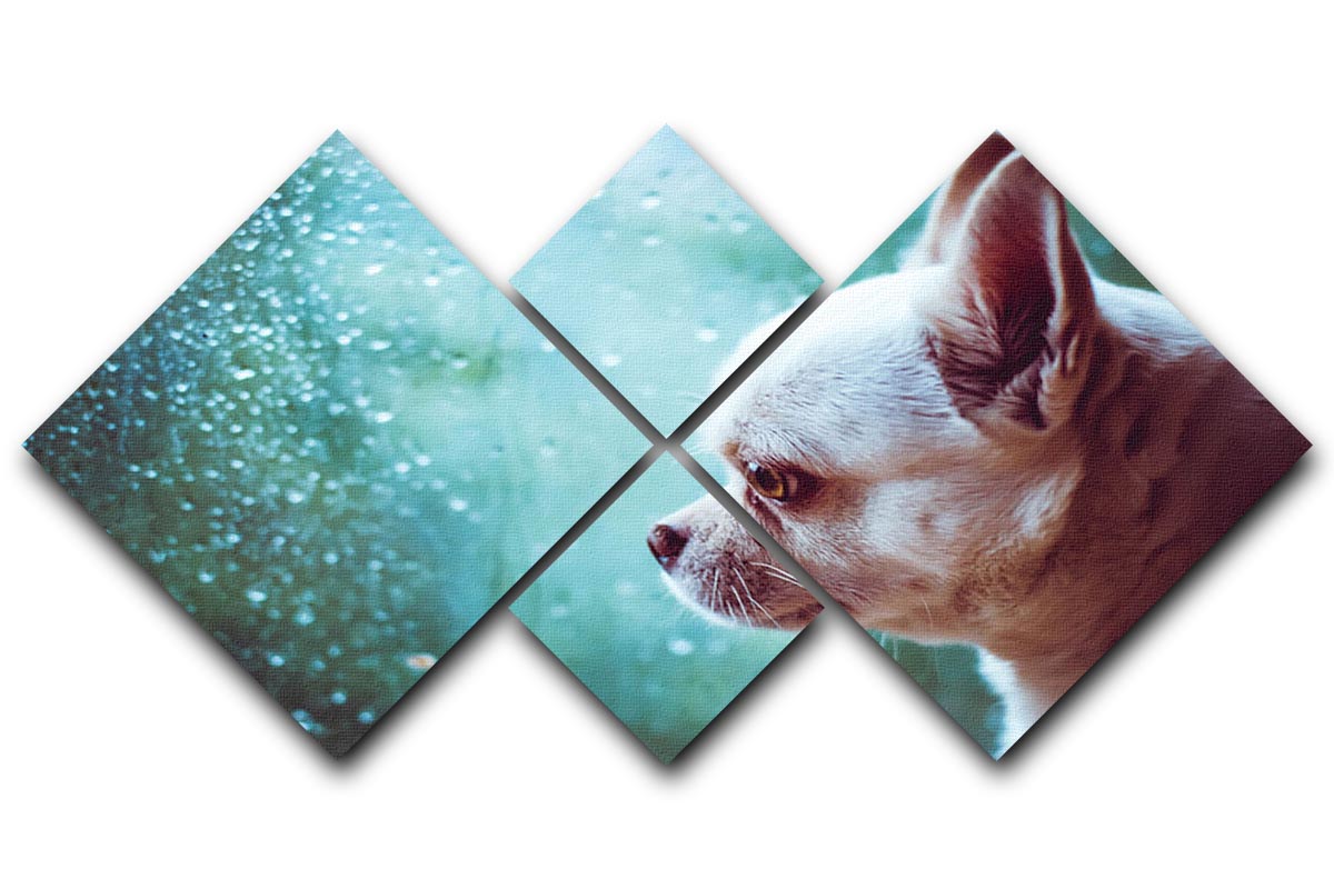 Sad Chihuahua dog 4 Square Multi Panel Canvas - Canvas Art Rocks - 1