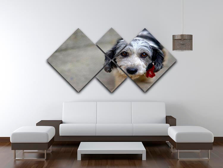 Sad look of a cute stray dog 4 Square Multi Panel Canvas - Canvas Art Rocks - 3