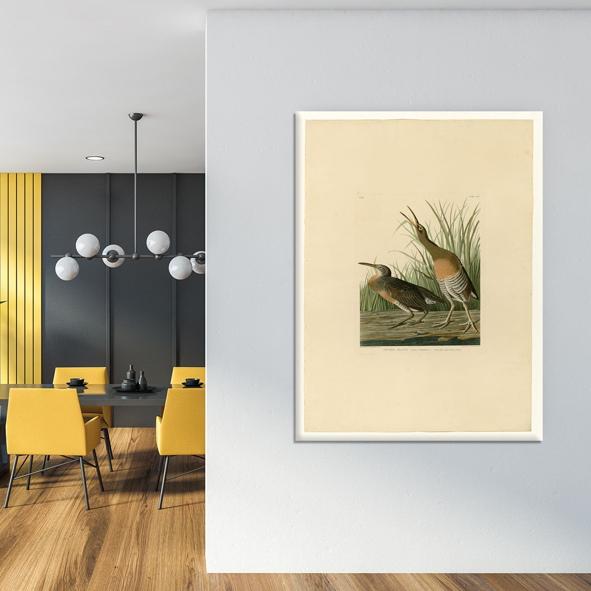 Salt Water Marsh Hen by Audubon Canvas Print or Poster - Canvas Art Rocks - 4
