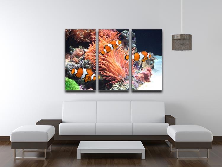 Sea anemone 3 Split Panel Canvas Print - Canvas Art Rocks - 3