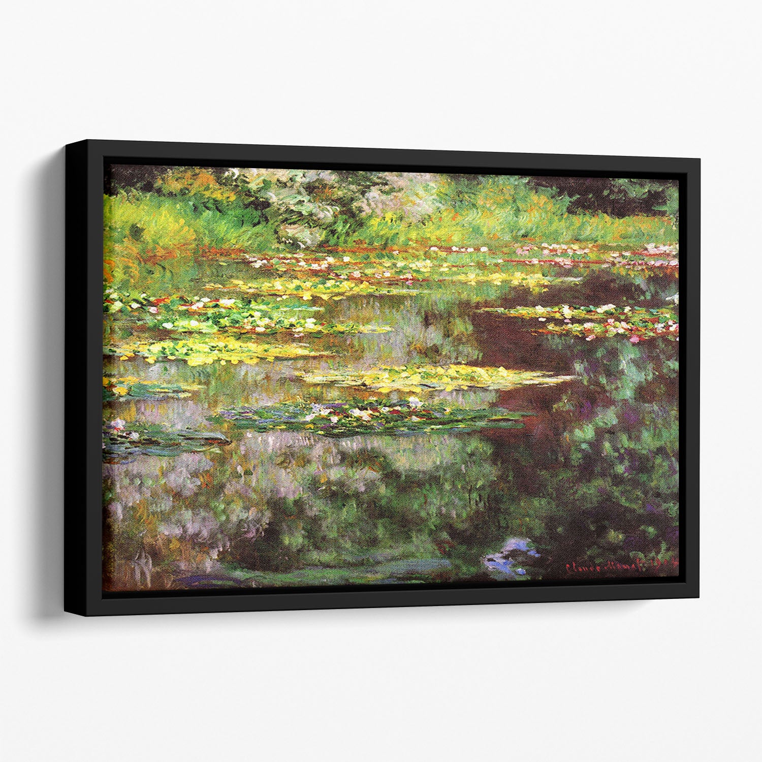 Sea rose pond by Monet Floating Framed Canvas