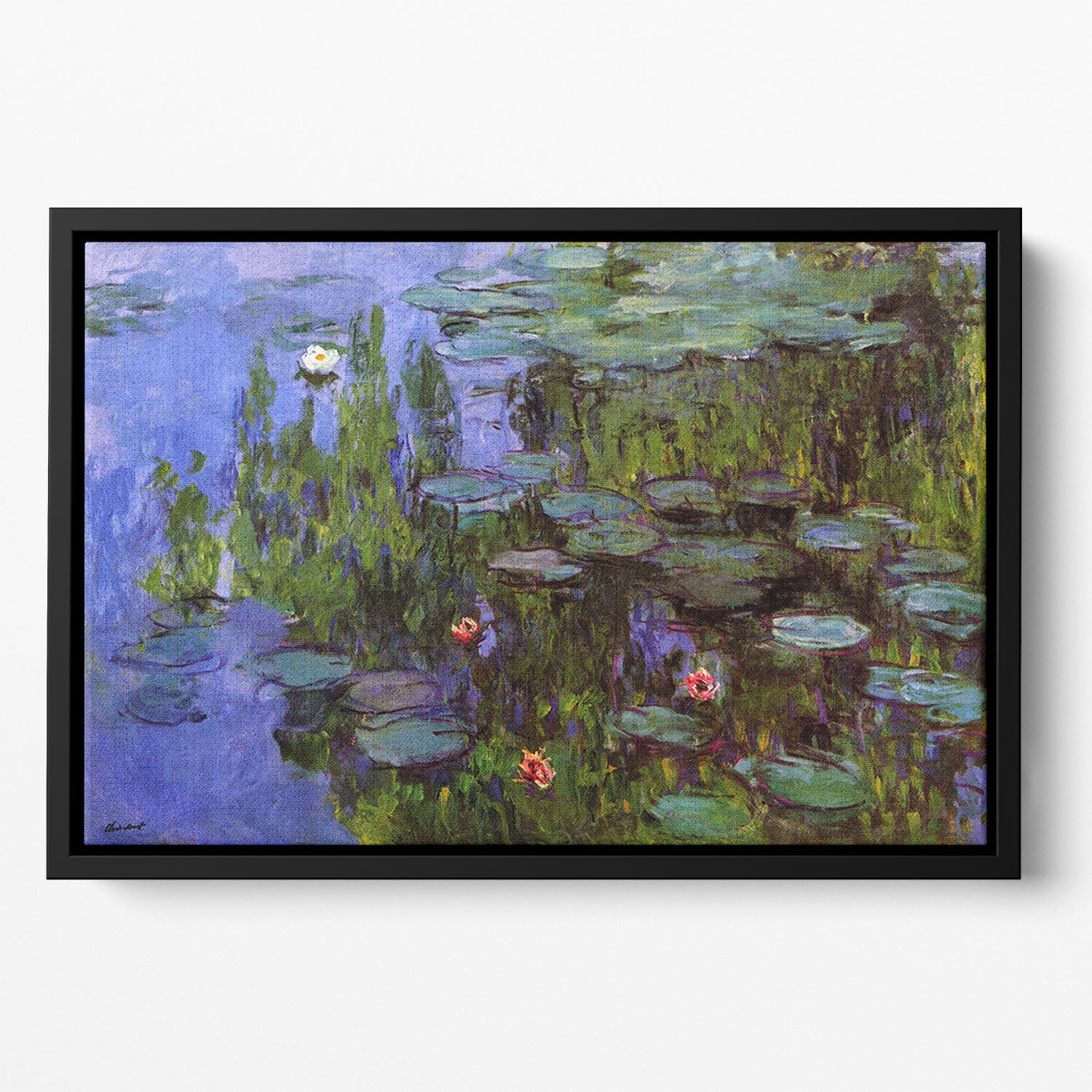 Sea roses by Monet Floating Framed Canvas