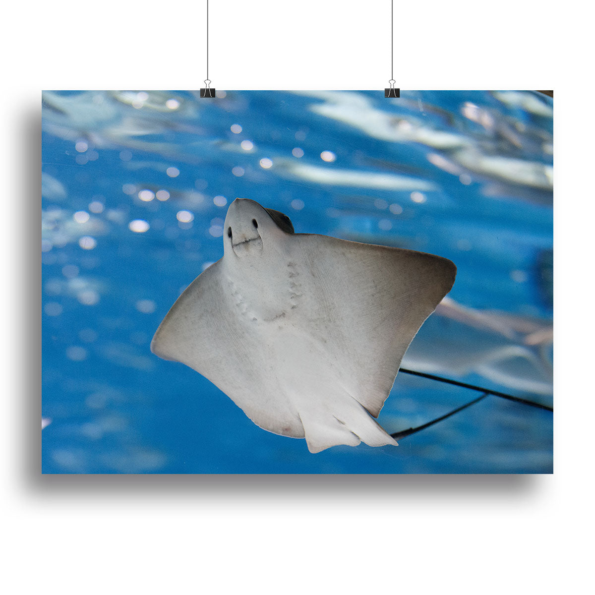 Sea stingray and marine life Canvas Print or Poster - Canvas Art Rocks - 2