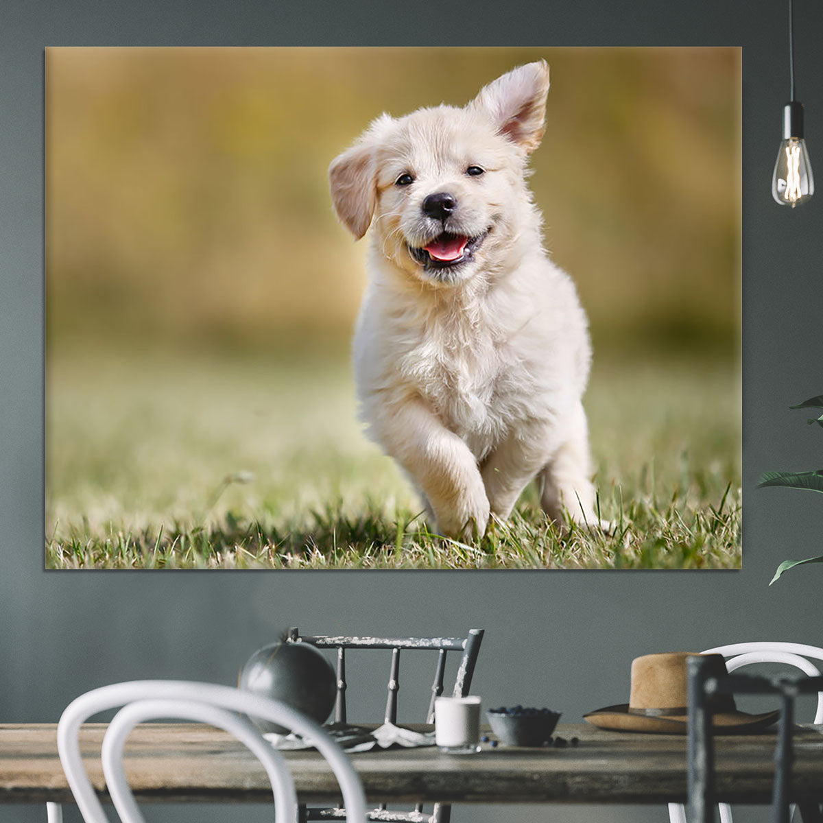 Seven week old golden retriever puppy outdoors Canvas Print or Poster - Canvas Art Rocks - 3