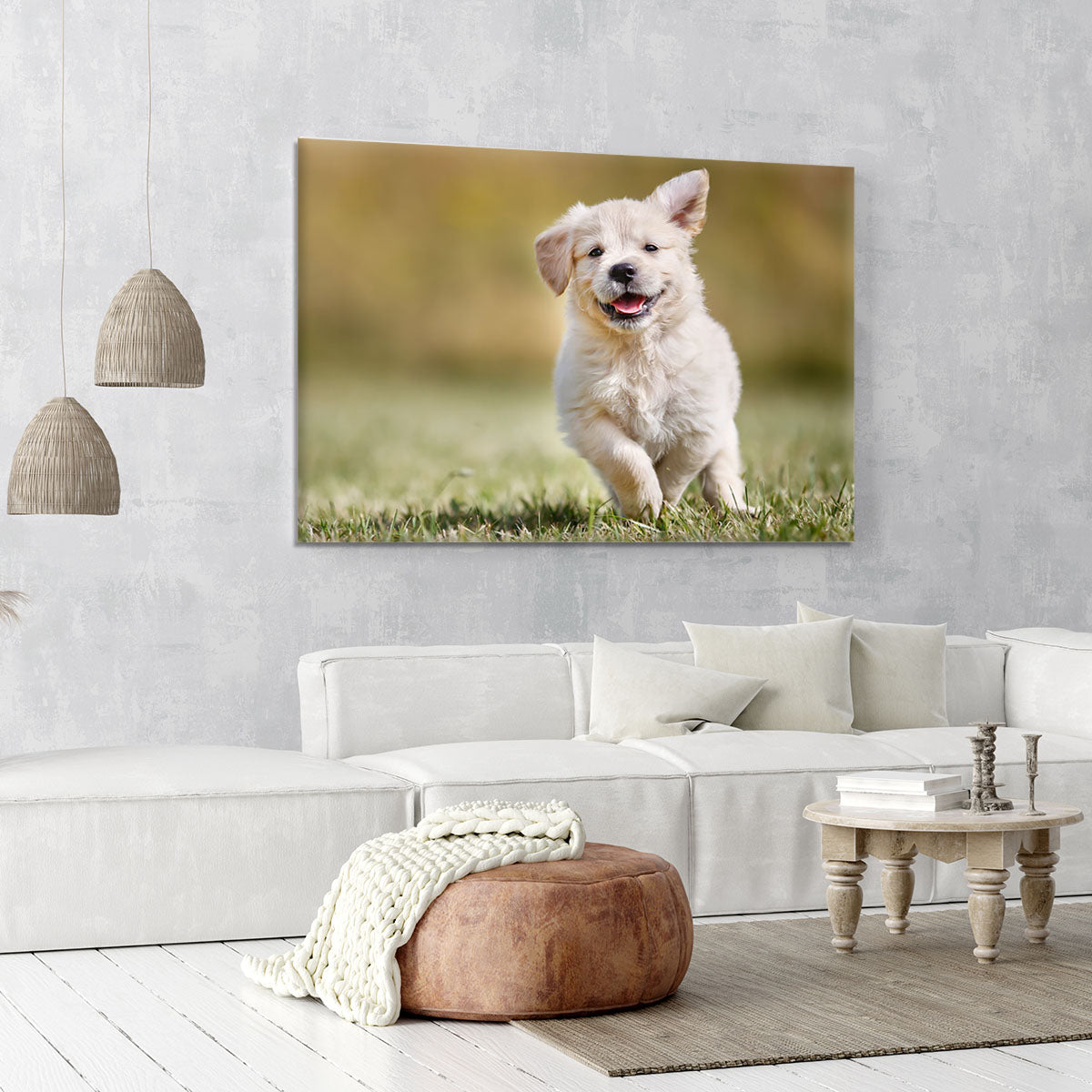 Seven week old golden retriever puppy outdoors Canvas Print or Poster - Canvas Art Rocks - 6