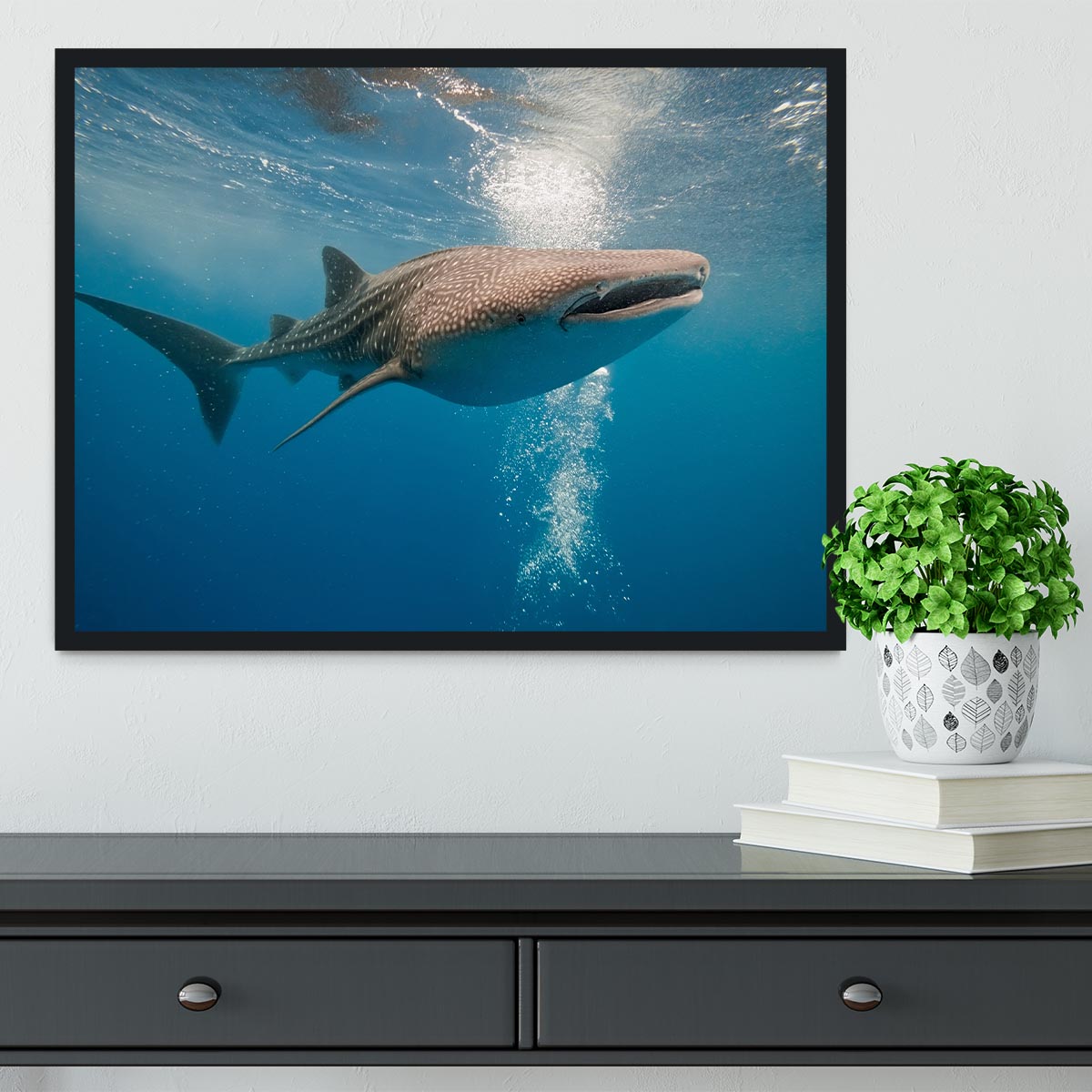 Shark Framed Print - Canvas Art Rocks - 2