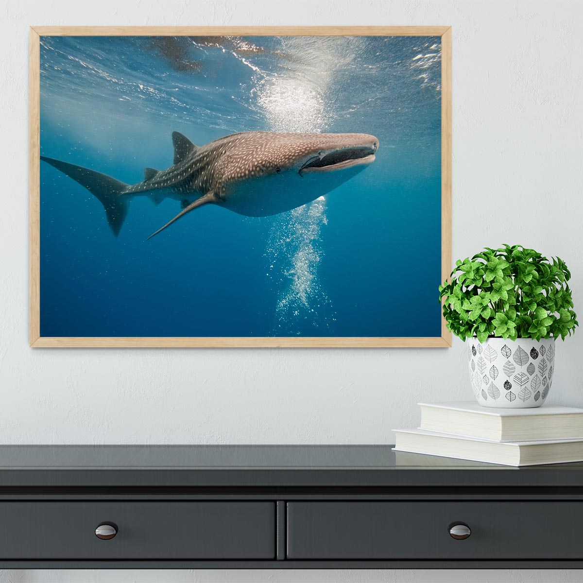 Shark Framed Print - Canvas Art Rocks - 4