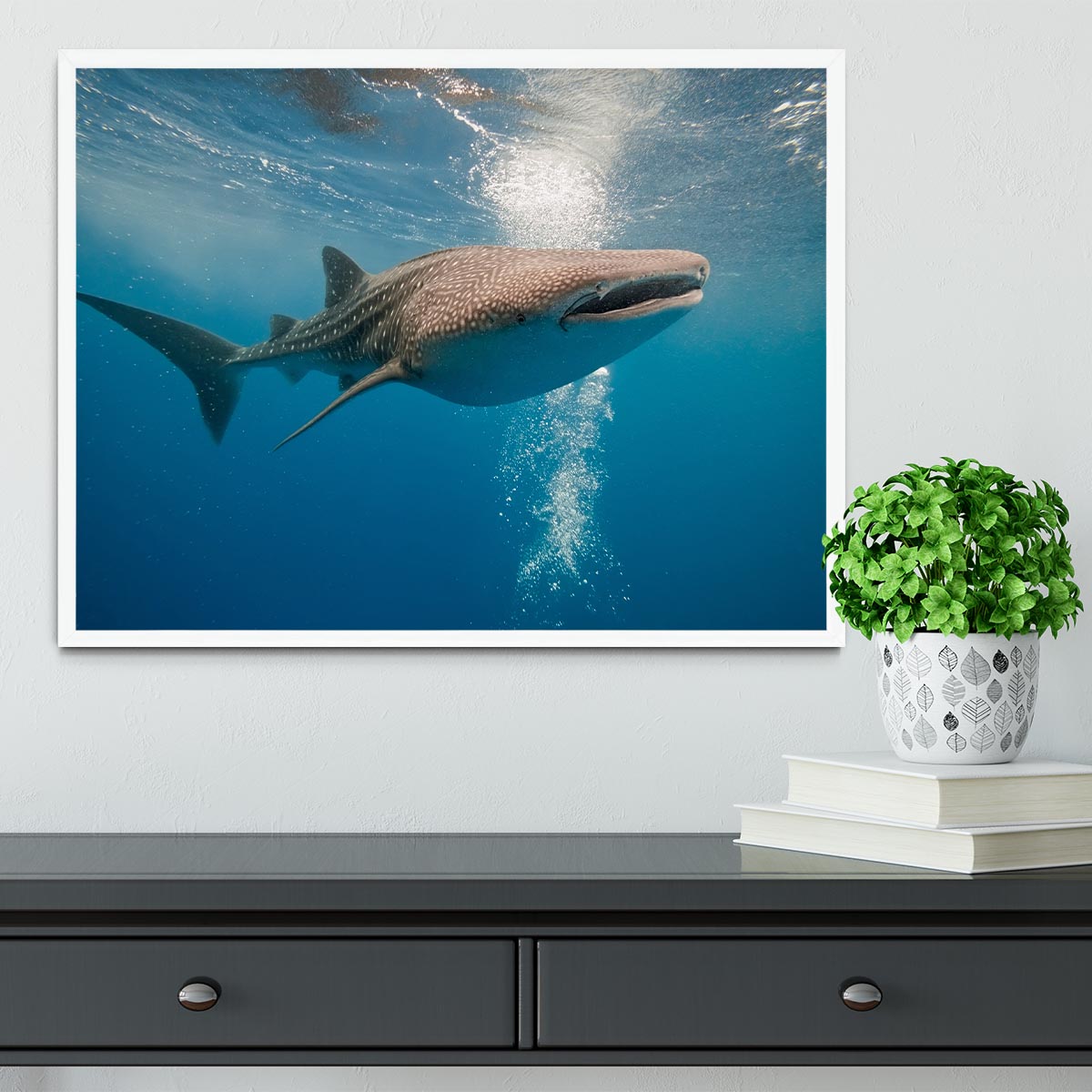 Shark Framed Print - Canvas Art Rocks -6