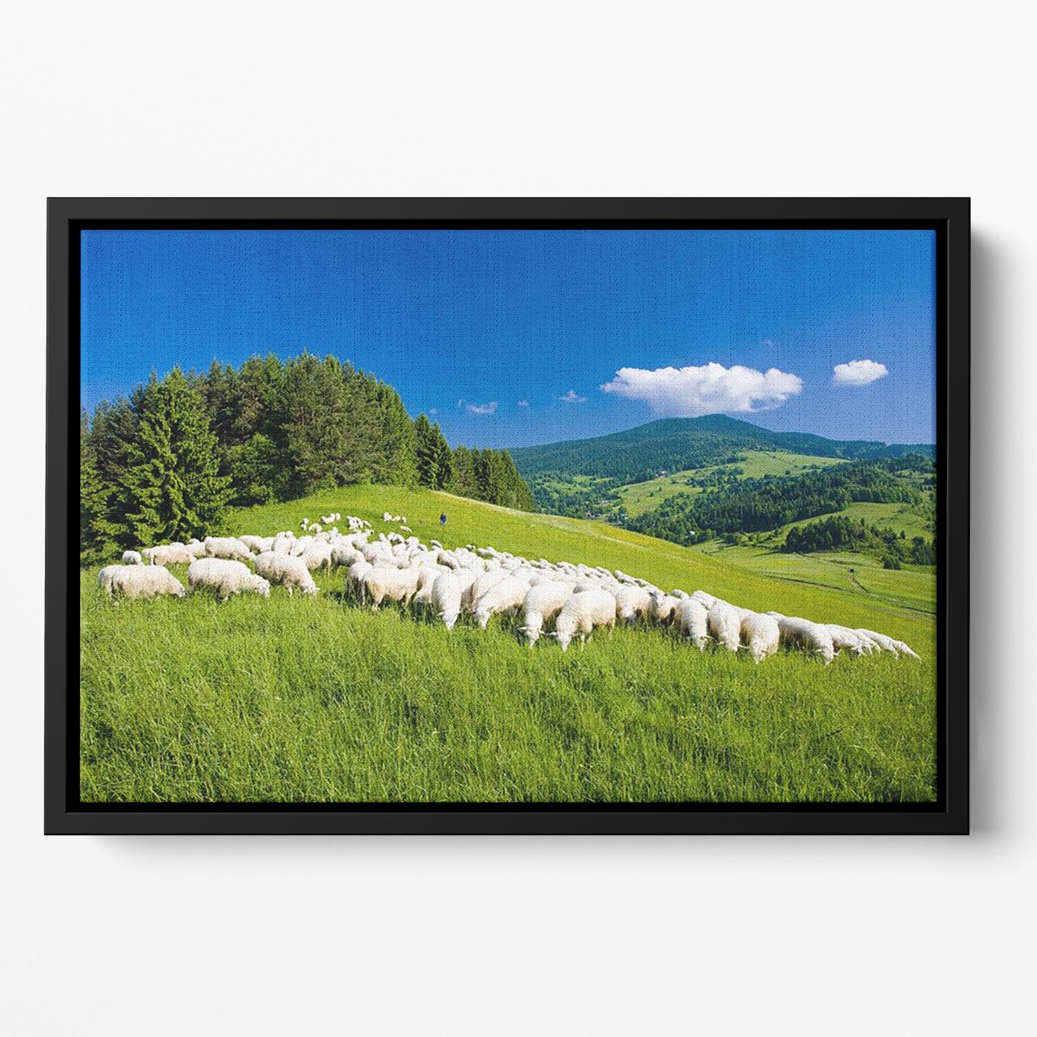 Sheep herds Floating Framed Canvas - Canvas Art Rocks - 2