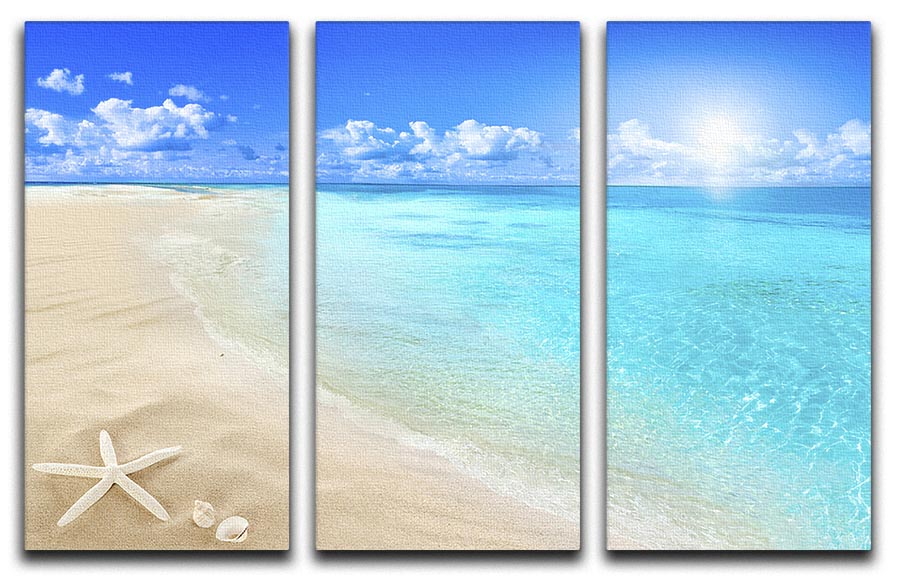 Shells on sunny beach 3 Split Panel Canvas Print - Canvas Art Rocks - 1