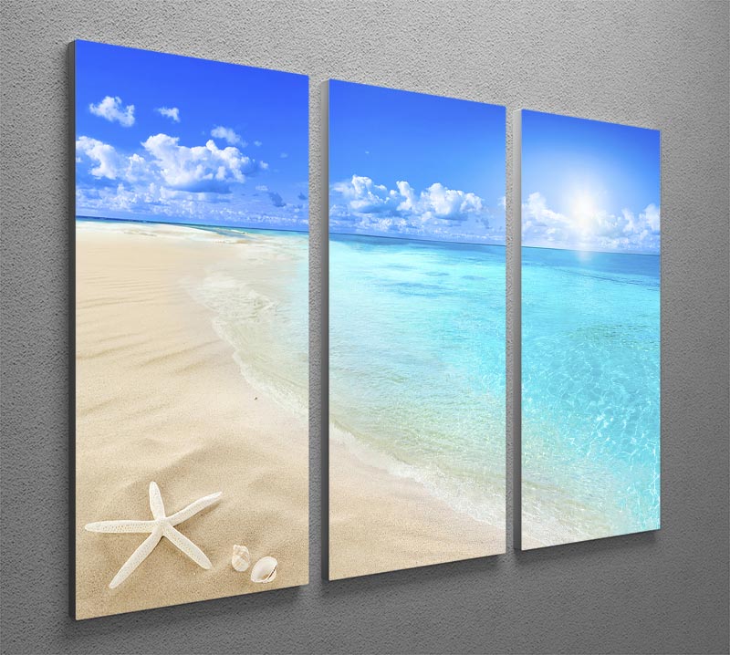 Shells on sunny beach 3 Split Panel Canvas Print - Canvas Art Rocks - 2
